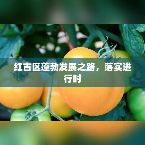 红古区蓬勃发展之路，落实进行时