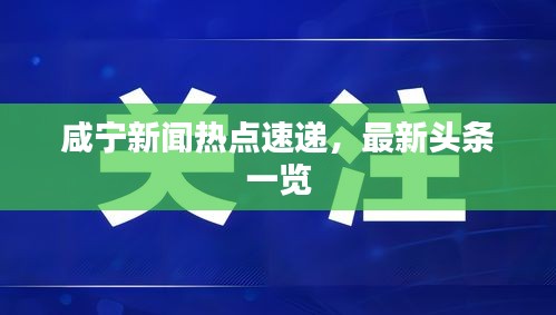 咸宁新闻热点速递，最新头条一览