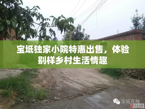 宝坻独家小院特惠出售，体验别样乡村生活情趣