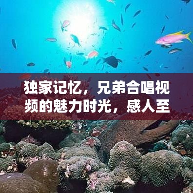 独家记忆，兄弟合唱视频的魅力时光，感人至深！