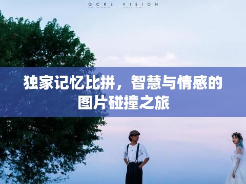 独家记忆比拼，智慧与情感的图片碰撞之旅