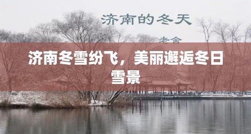 济南冬雪纷飞，美丽邂逅冬日雪景