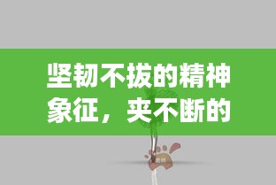 坚韧不拔的精神象征，夹不断的力量与信念