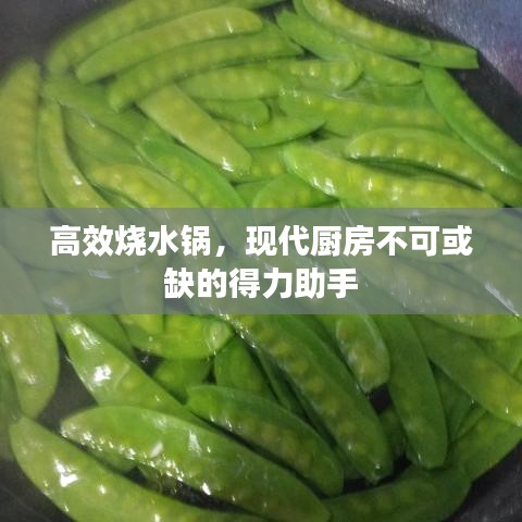 高效烧水锅，现代厨房不可或缺的得力助手