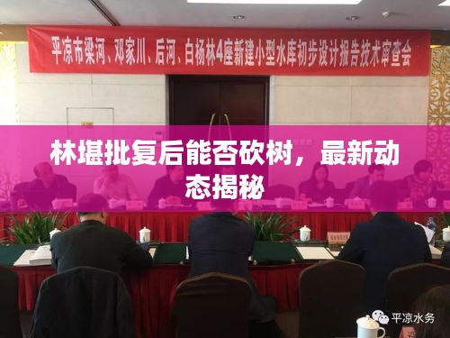林堪批复后能否砍树，最新动态揭秘