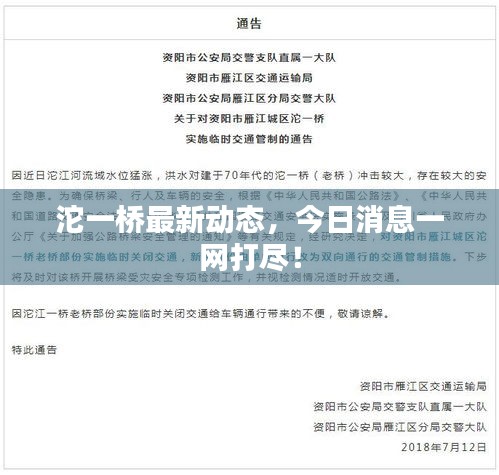 沱一桥最新动态，今日消息一网打尽！