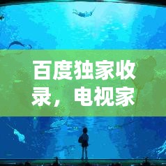 百度独家收录，电视家2.0——开启全新视听盛宴！